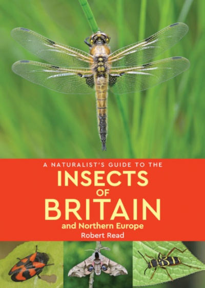 A Naturalist’s Guide to the Insects of Britain & Northern Europe
